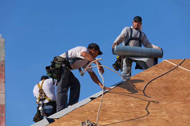 Best Roof Gutter Cleaning  in Avodo Heights, CA