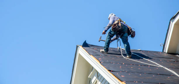 Best Flat Roof Repair Services  in Avodo Heights, CA